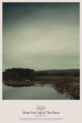 Poster for What You Left in the Ditch