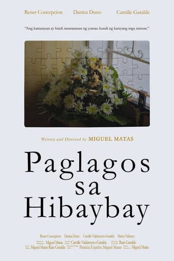 Poster for Passing Through The Border