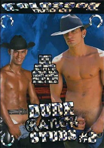 Poster for Big Log