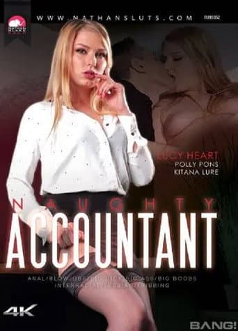 Poster for Naughty Accountant