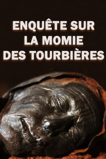 Poster for 4,000-Year-Old Cold Case: The Body in the Bog