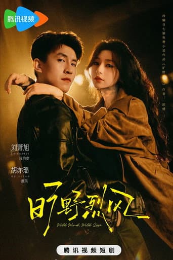 Poster for 旷野烈风