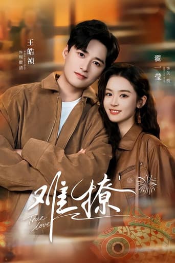 Poster for 难撩