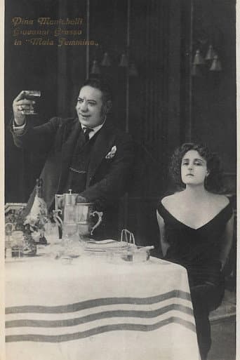 Poster for L' ospite sconosciuta