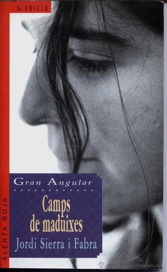 Poster for Camps de maduixes
