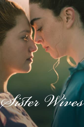 Poster for Sister Wives