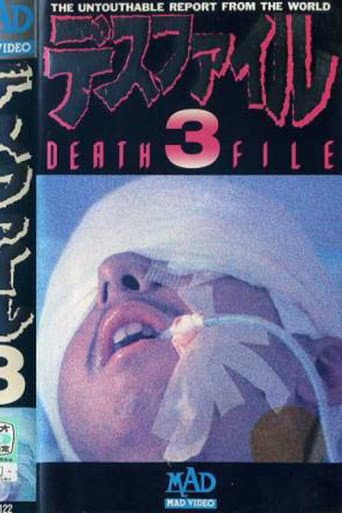 Poster for Death File 3