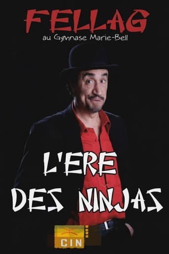 Poster for L'ère des Ninjas