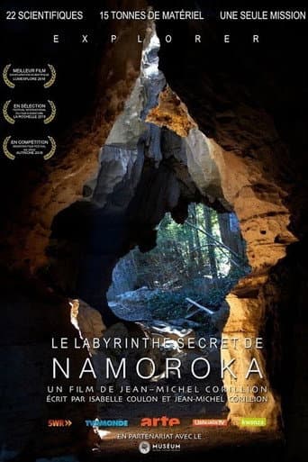 Poster for Le Labyrinthe secret de Namoroka