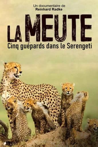 Poster for Die fünf Geparde - Gemeinsam durch die Serengeti