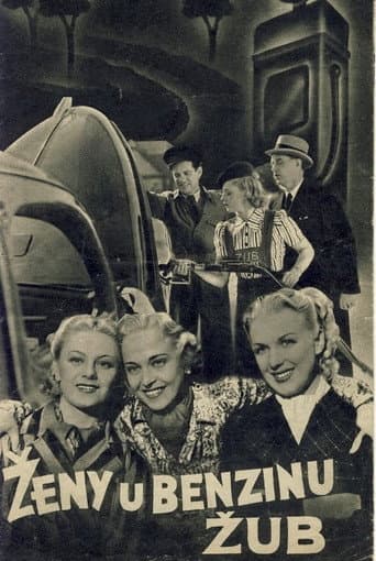 Poster for Ženy u benzinu