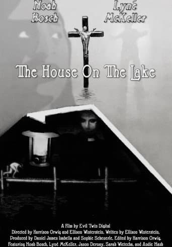 Poster for The House On The Lake