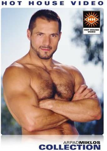 Poster for Arpad Miklos Collection