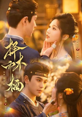 Poster for 择木而栖
