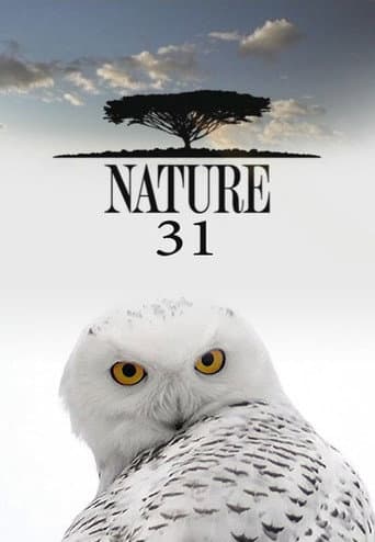Poster for Season 31