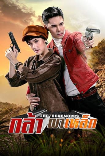 Poster for The Revengers