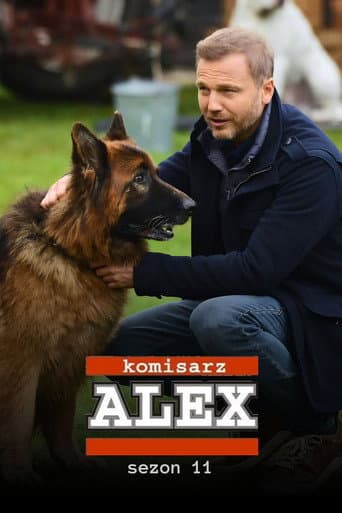 Poster for Season 11