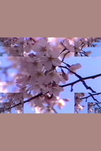 Poster for Rock Video: Cherry Blossom