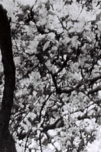 Poster for This is for Jonas Mekas