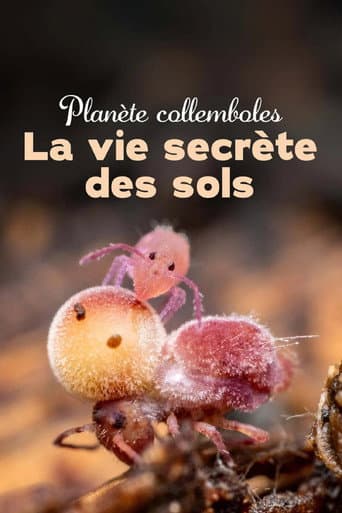 Poster for Springtails: The hidden soldiers of Earth