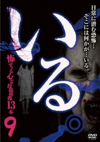Poster for 「Iru.」~ Kowasugiru Tōkō Eizō 13-hon ~ Vol.9
