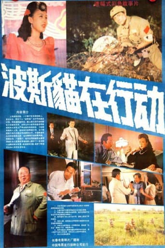 Poster for Persian Cat Is on Action