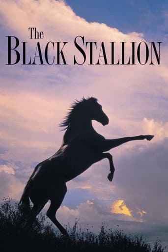 Poster for The Black Stallion