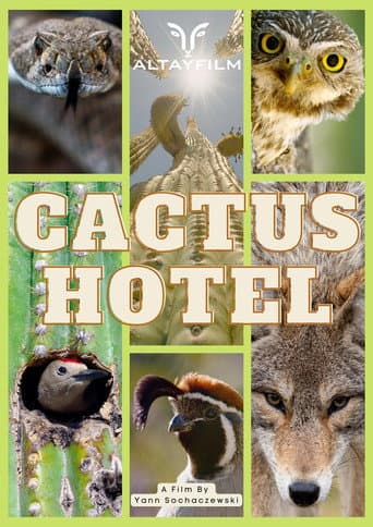 Poster for Cactus Hotel