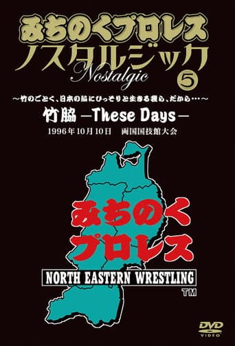 Poster for Michinoku Pro 3rd Anniversary: These Days