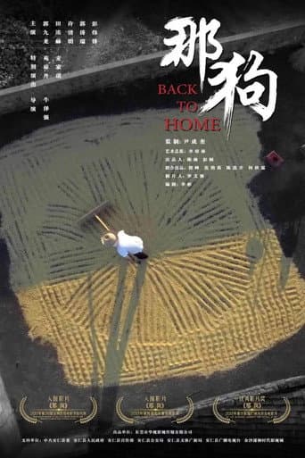 Poster for Back to Home