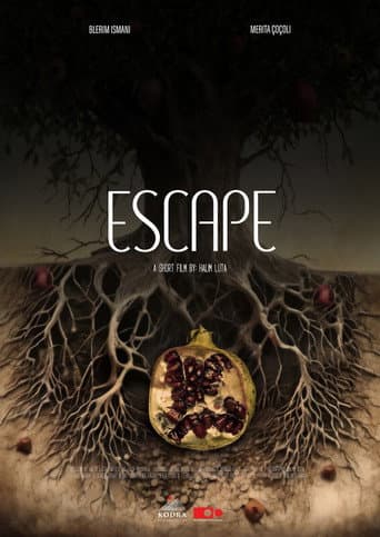 Poster for Escape