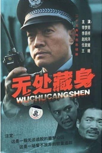 Poster for 无处藏身