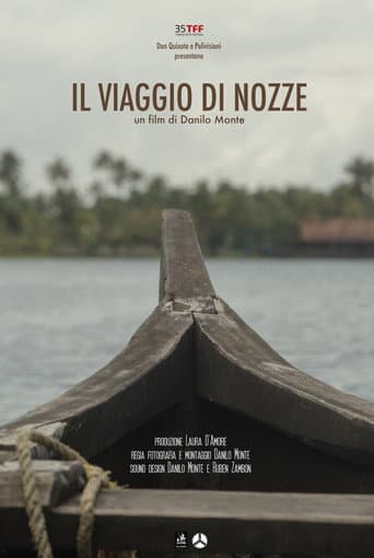Poster for Il viaggio di nozze