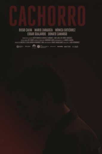 Poster for Cachorro
