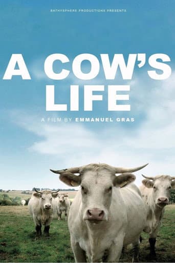 Poster for Bovines