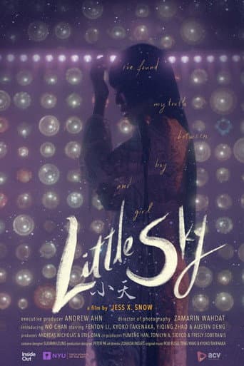 Poster for Little Sky