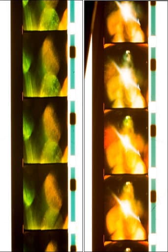 Poster for Quick Billy: Six Rolls; 14/41/43/46/47/52