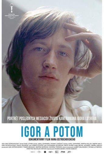 Poster for Igor and After