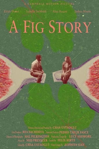 Poster for A Fig Story