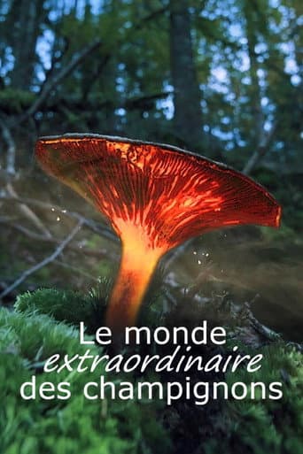 Poster for Le monde extraordinaire des champignons