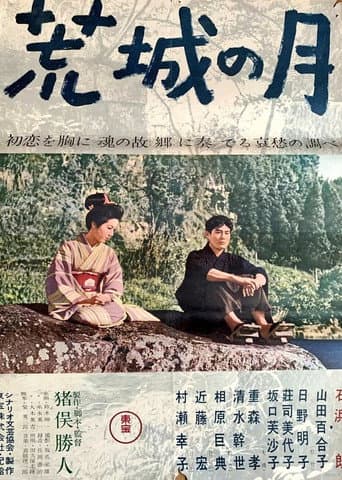 Poster for Moon Over the Abandoned Castle