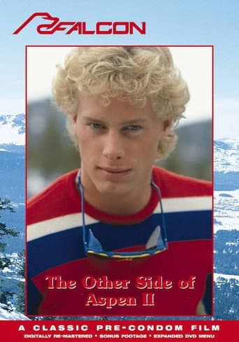 Poster for The Other Side of Aspen II