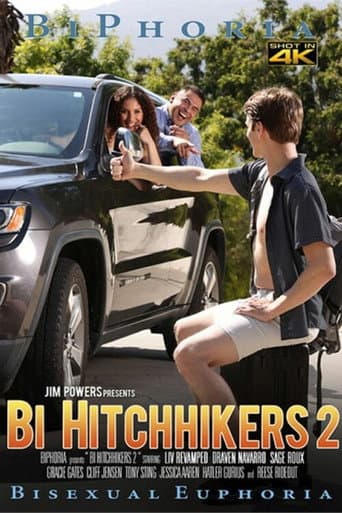 Poster for Bi Hitchhikers 2