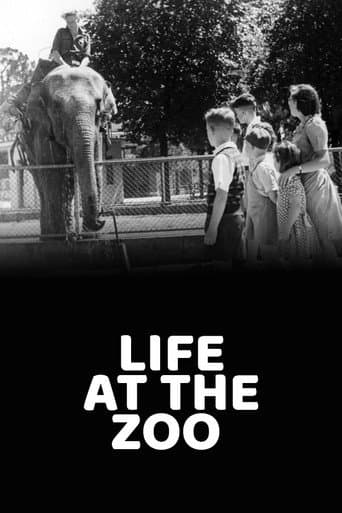 Poster for Life at the Zoo