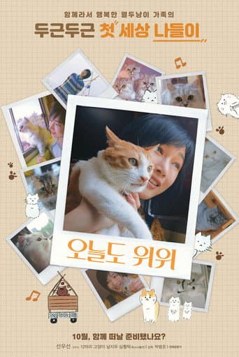 Poster for The Journey of the 12 Cats