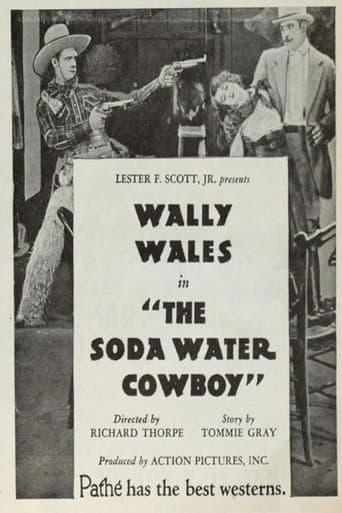 Poster for The Soda Water Cowboy