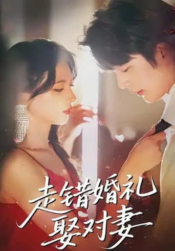 Poster for 走错婚礼娶对妻