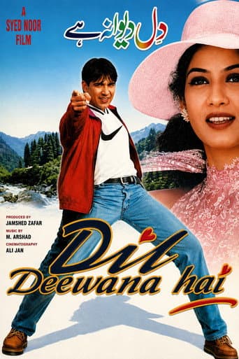 Poster for Dil Deewana Hai