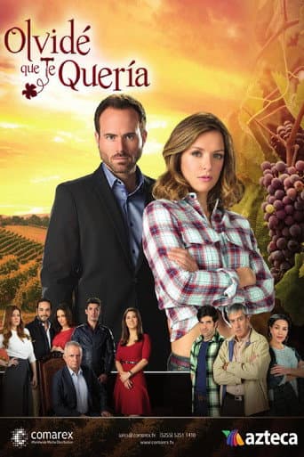 Poster for Season 1