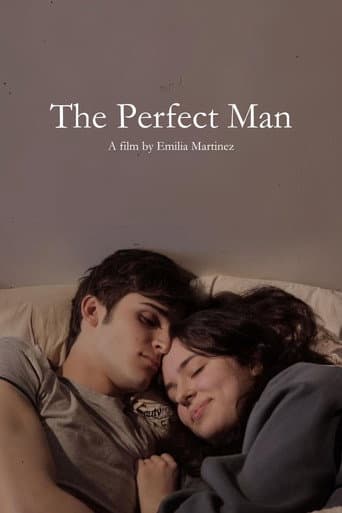Poster for The Perfect Man